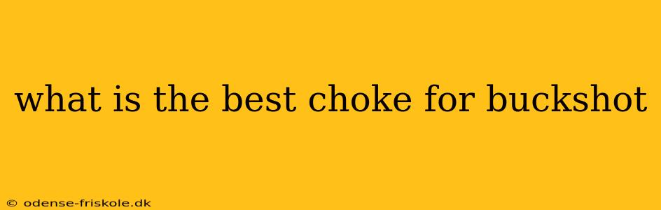 what is the best choke for buckshot