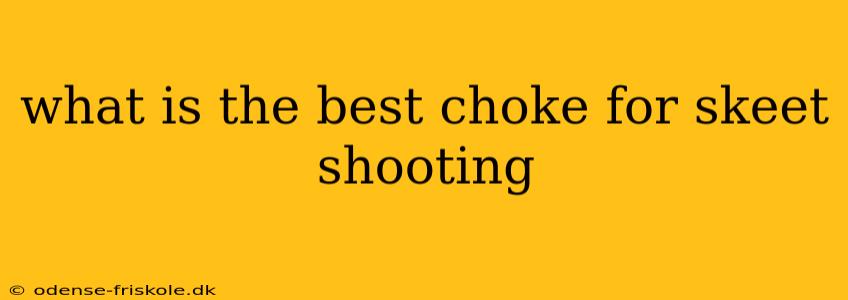 what is the best choke for skeet shooting