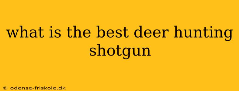 what is the best deer hunting shotgun