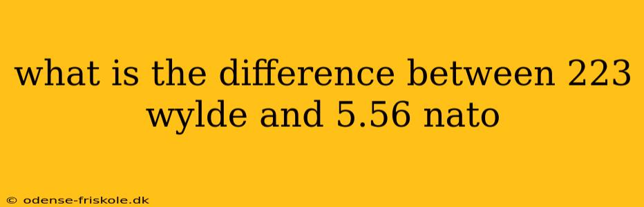 what is the difference between 223 wylde and 5.56 nato