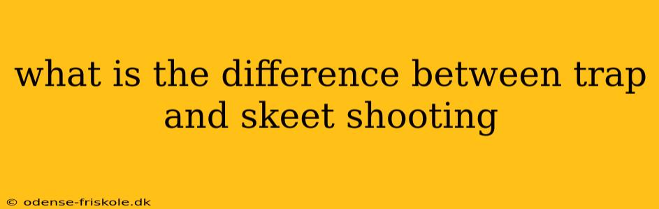 what is the difference between trap and skeet shooting