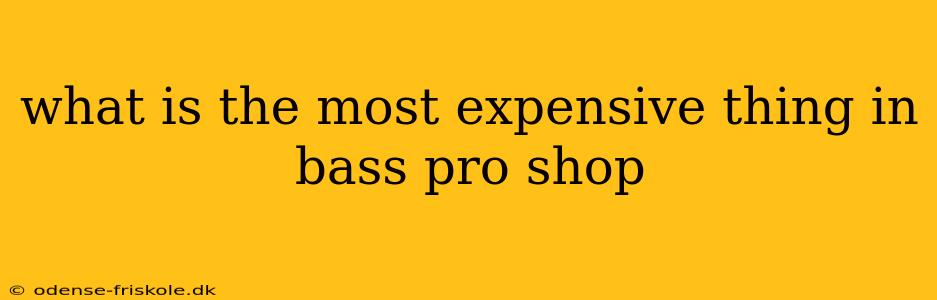 what is the most expensive thing in bass pro shop