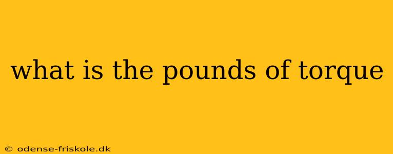 what is the pounds of torque