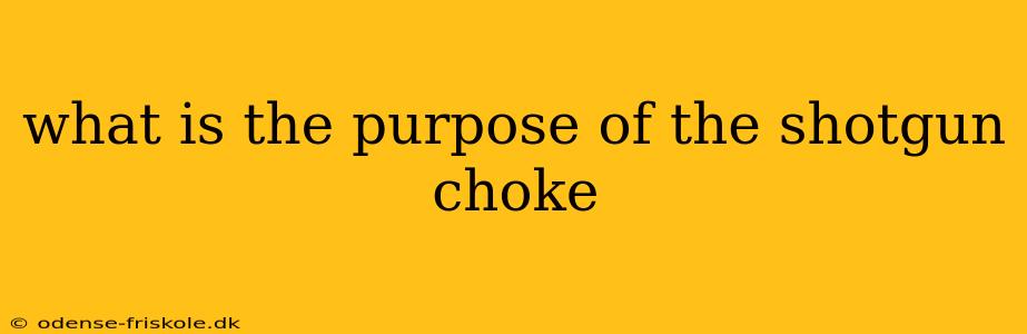 what is the purpose of the shotgun choke