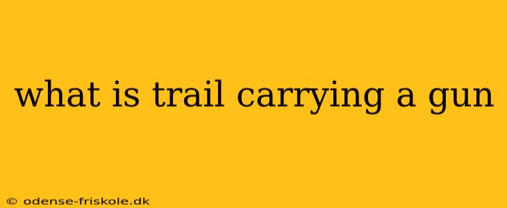 what is trail carrying a gun