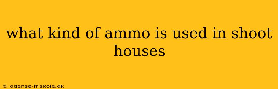 what kind of ammo is used in shoot houses