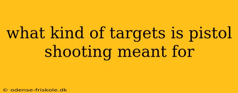 what kind of targets is pistol shooting meant for