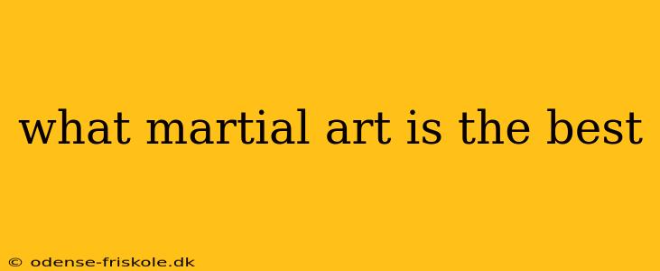 what martial art is the best