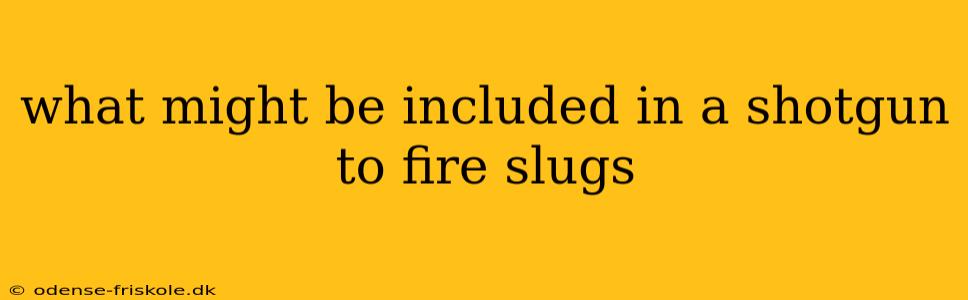 what might be included in a shotgun to fire slugs