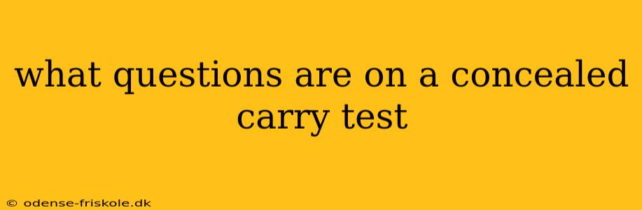 what questions are on a concealed carry test