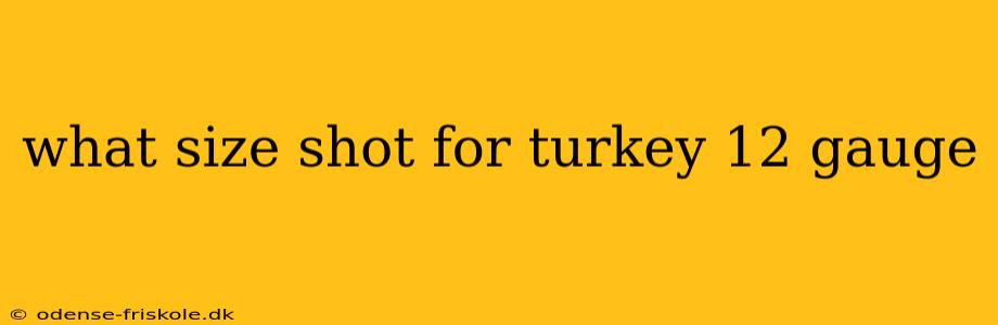 what size shot for turkey 12 gauge