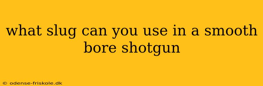 what slug can you use in a smooth bore shotgun