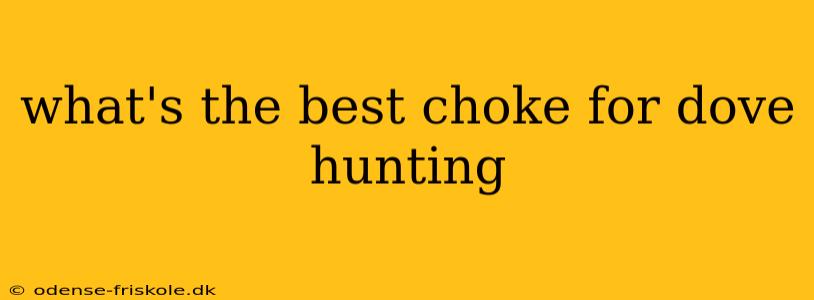 what's the best choke for dove hunting