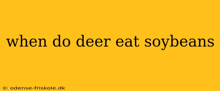 when do deer eat soybeans