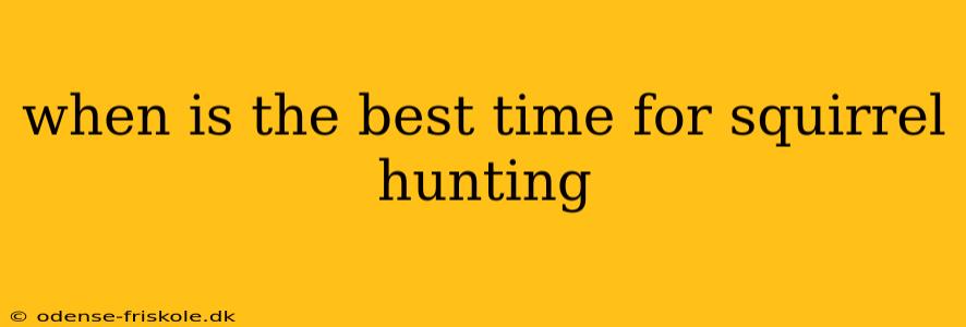 when is the best time for squirrel hunting