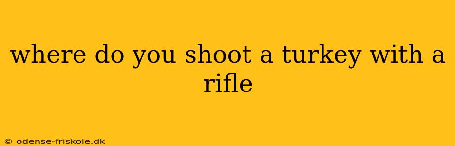 where do you shoot a turkey with a rifle