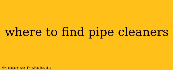 where to find pipe cleaners