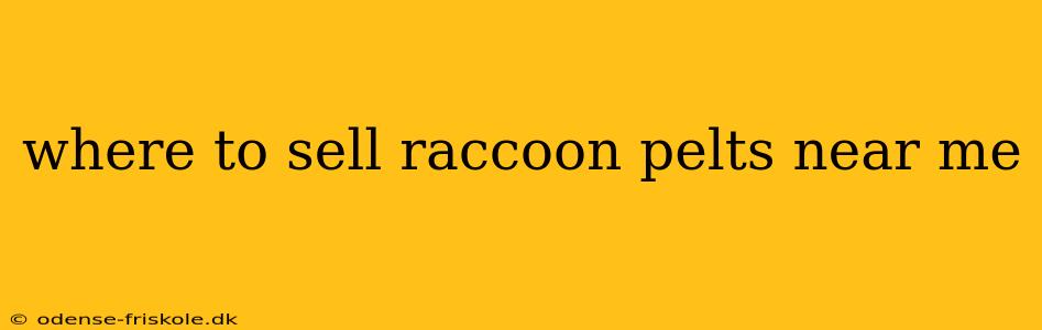 where to sell raccoon pelts near me