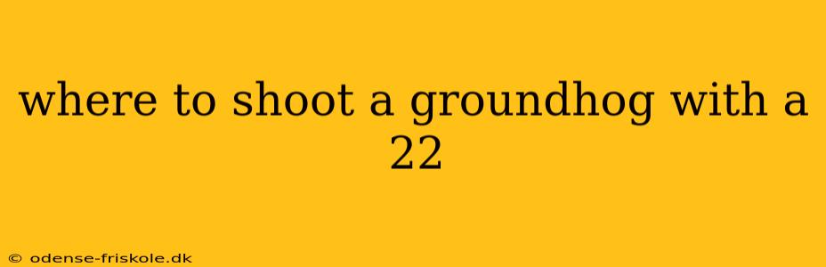 where to shoot a groundhog with a 22