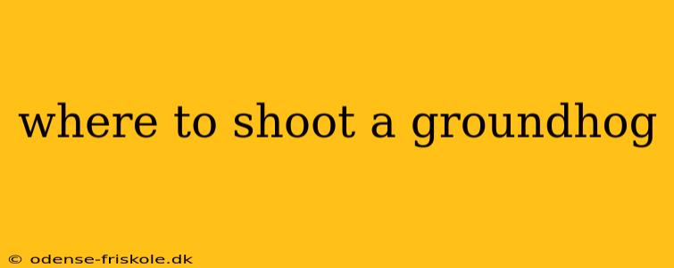 where to shoot a groundhog