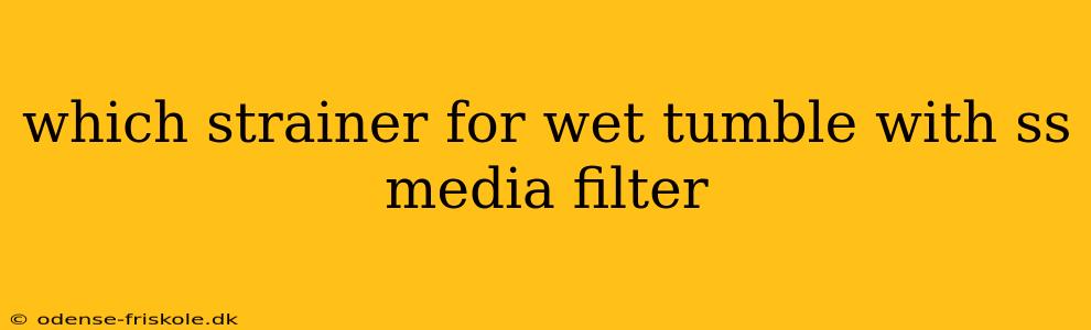 which strainer for wet tumble with ss media filter