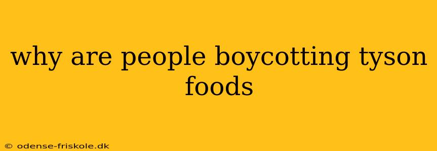 why are people boycotting tyson foods