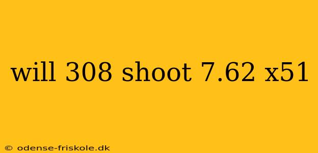 will 308 shoot 7.62 x51