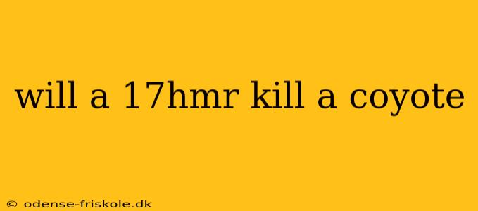 will a 17hmr kill a coyote