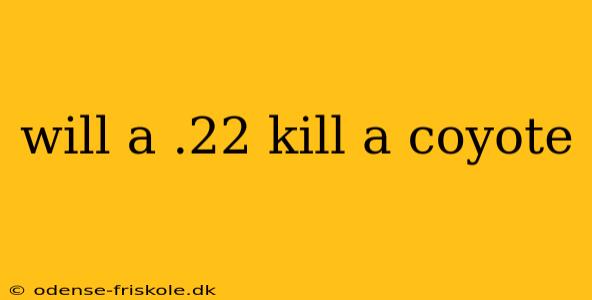 will a .22 kill a coyote