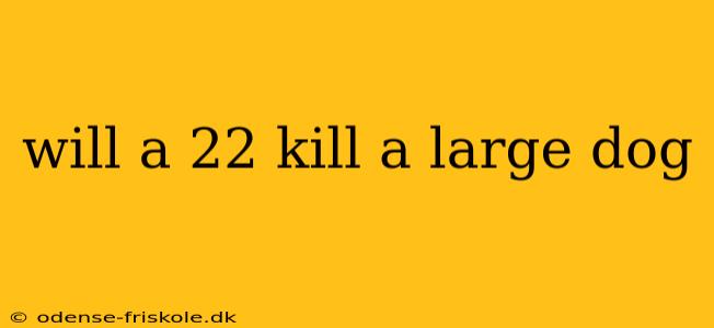 will a 22 kill a large dog