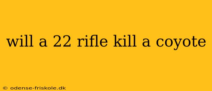 will a 22 rifle kill a coyote