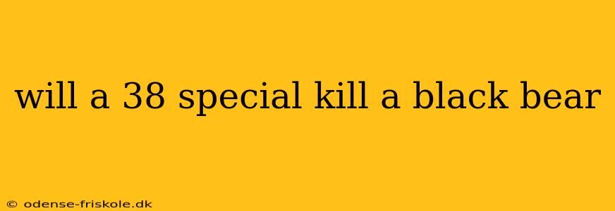 will a 38 special kill a black bear