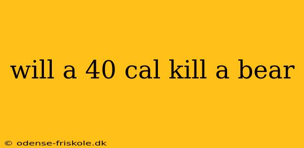 will a 40 cal kill a bear