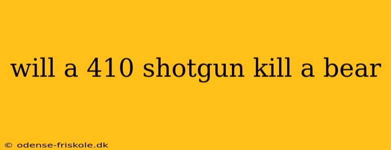 will a 410 shotgun kill a bear