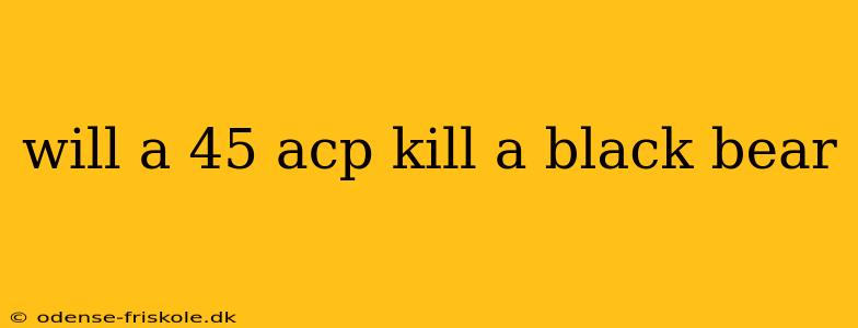 will a 45 acp kill a black bear