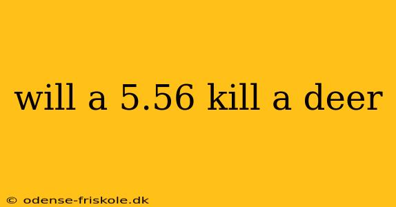 will a 5.56 kill a deer