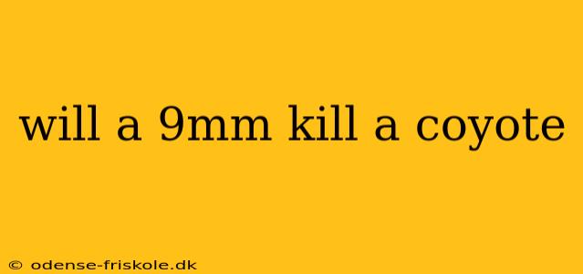 will a 9mm kill a coyote