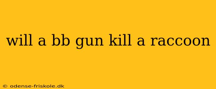 will a bb gun kill a raccoon