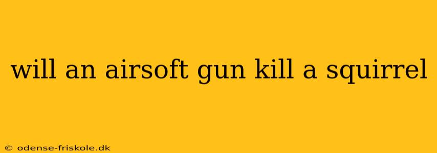 will an airsoft gun kill a squirrel