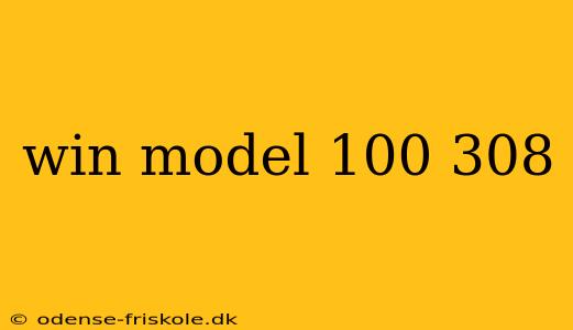 win model 100 308