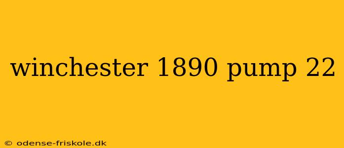 winchester 1890 pump 22