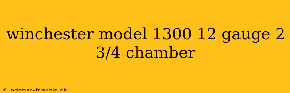 winchester model 1300 12 gauge 2 3/4 chamber