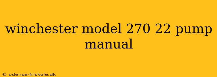 winchester model 270 22 pump manual