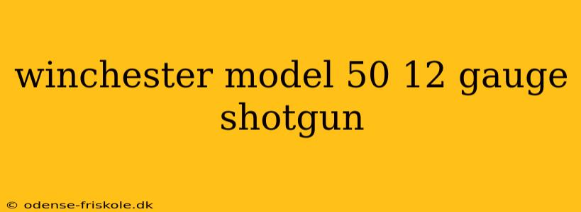 winchester model 50 12 gauge shotgun