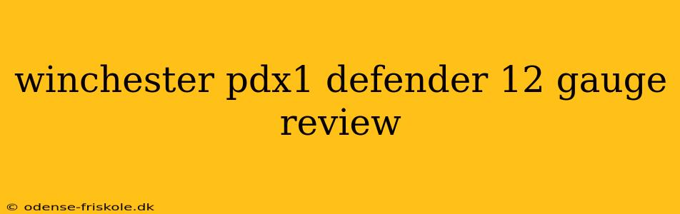 winchester pdx1 defender 12 gauge review