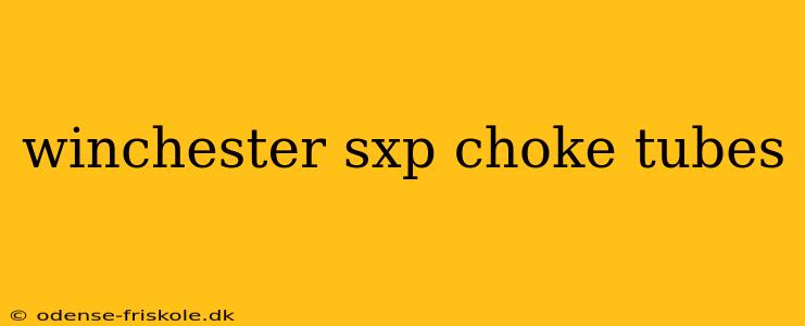 winchester sxp choke tubes