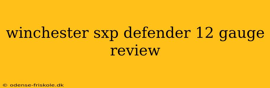 winchester sxp defender 12 gauge review