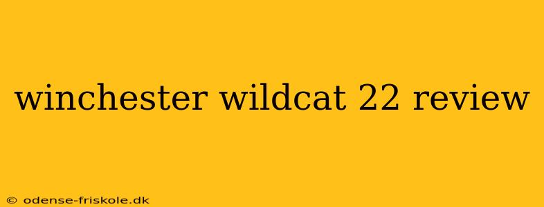 winchester wildcat 22 review