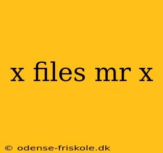 x files mr x