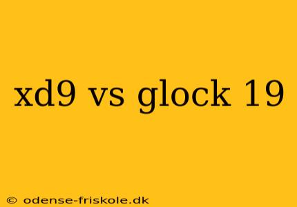 xd9 vs glock 19